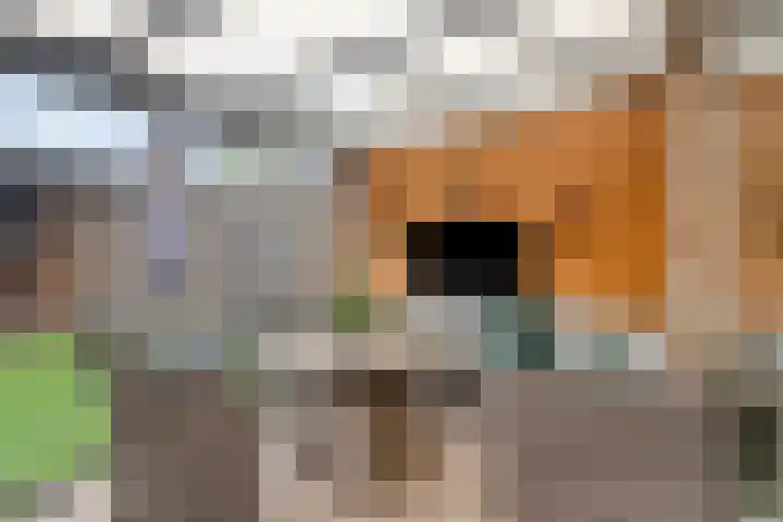 Graslinnen 24 Eindhoven thumbnail 13