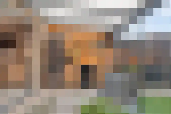 Graslinnen 24 Eindhoven thumbnail 14