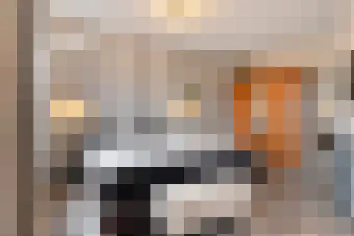 Graslinnen 24 Eindhoven thumbnail 19