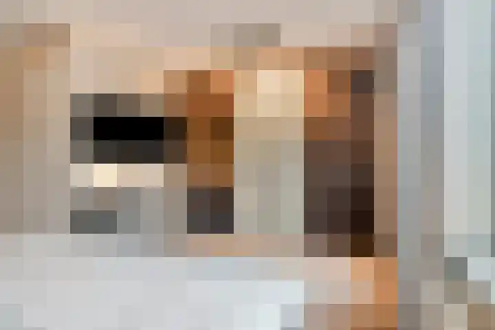 Graslinnen 24 Eindhoven thumbnail 20