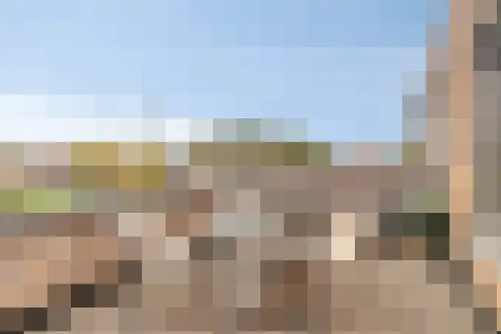 Graslinnen 24 Eindhoven thumbnail 24