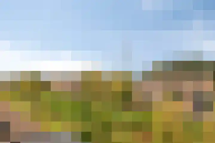 Graslinnen 24 Eindhoven thumbnail 26