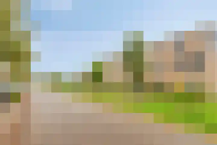Graslinnen 24 Eindhoven thumbnail 33