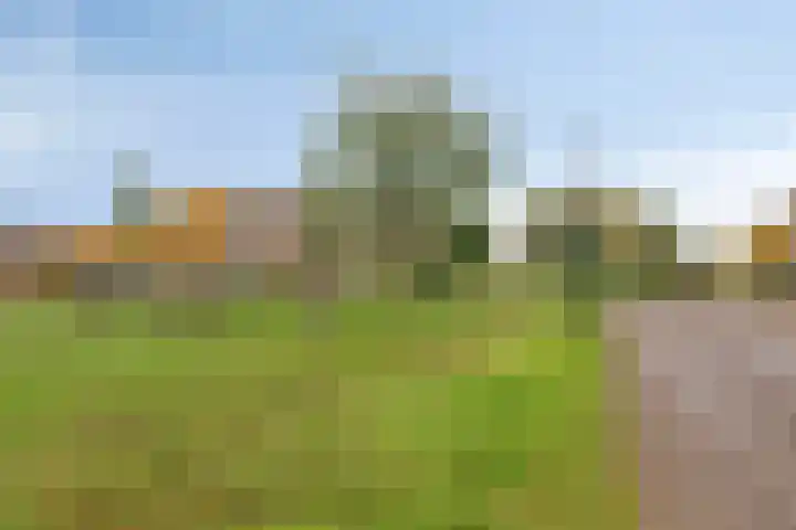 Graslinnen 24 Eindhoven thumbnail 34