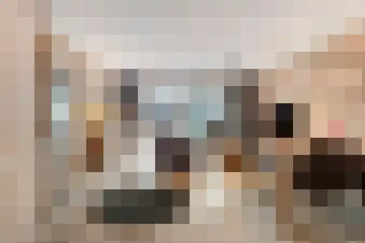 Graslinnen 24 Eindhoven thumbnail 5