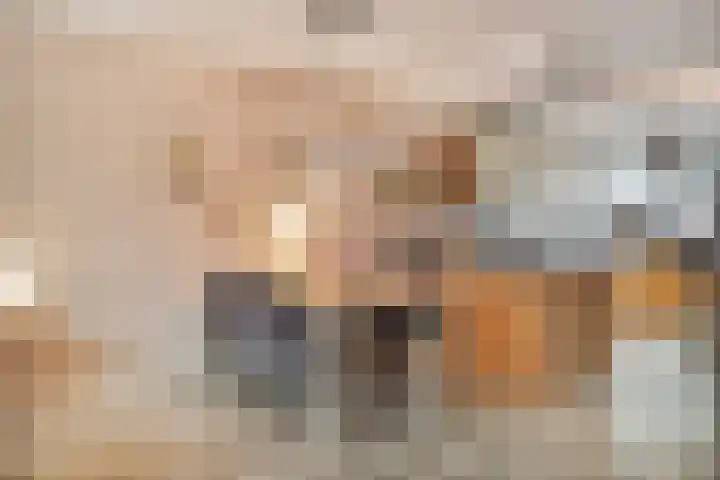 Graslinnen 24 Eindhoven thumbnail 8