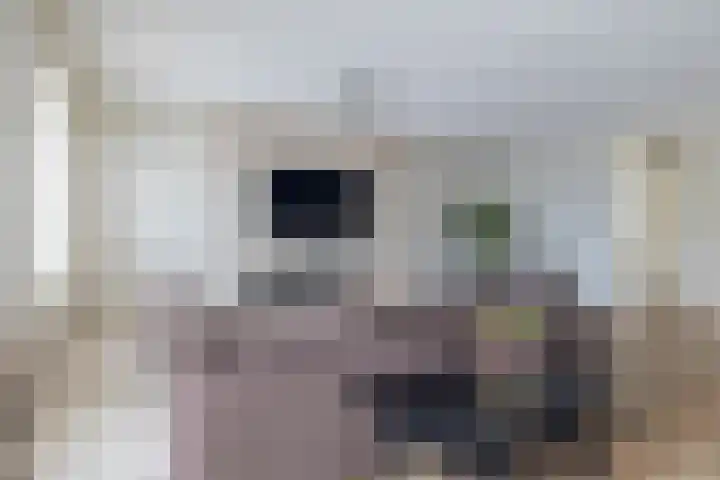 Graslinnen 34 Eindhoven thumbnail 13