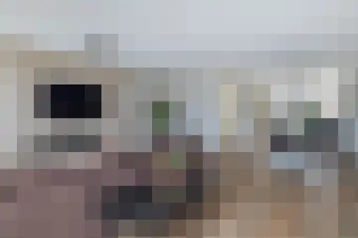 Graslinnen 34 Eindhoven thumbnail 15