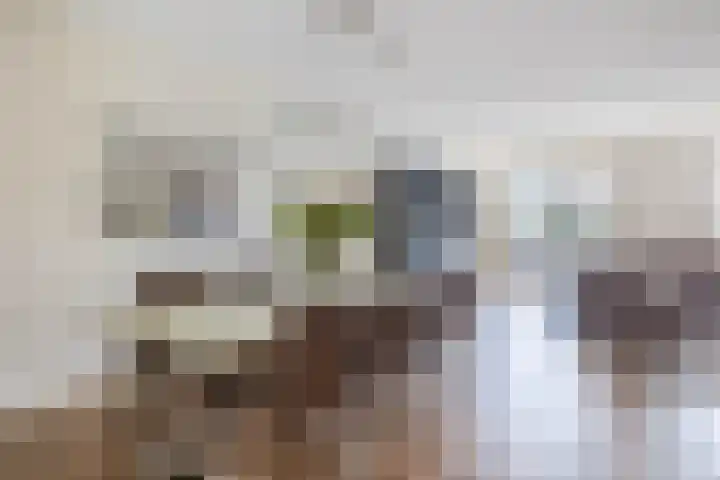 Graslinnen 34 Eindhoven thumbnail 17
