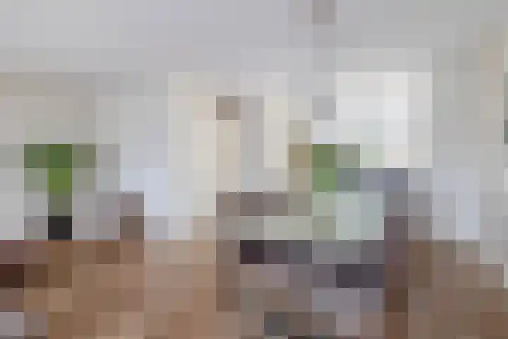Graslinnen 34 Eindhoven thumbnail 18