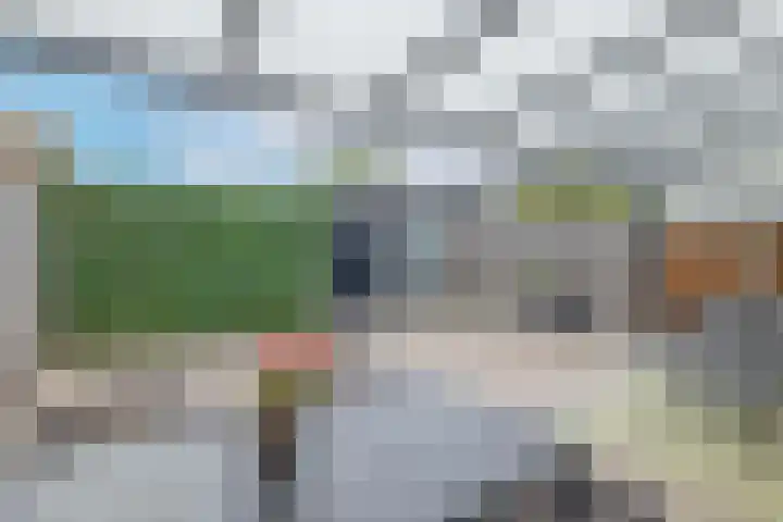 Graslinnen 34 Eindhoven thumbnail 33