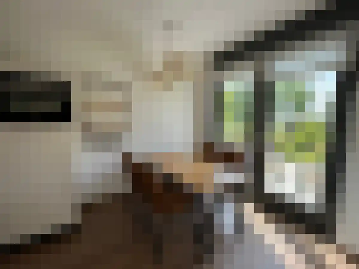 Graslinnen 35 Eindhoven thumbnail 5