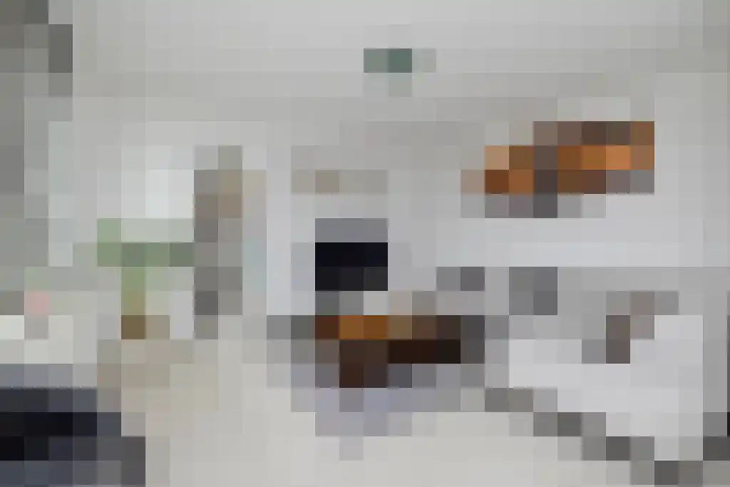 Graslinnen 43 Eindhoven thumbnail 14