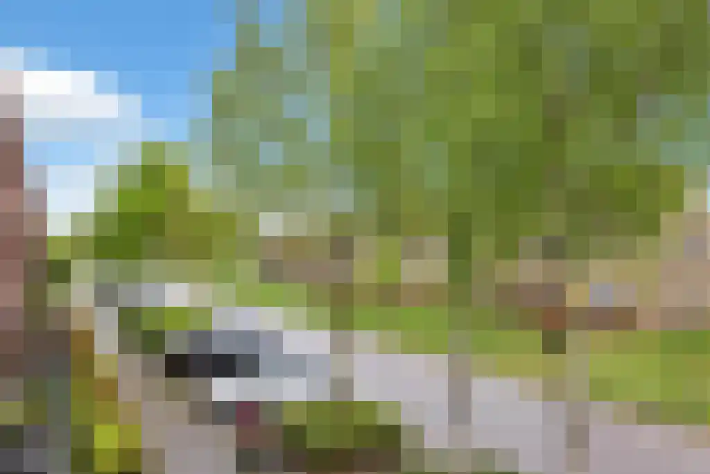 Graslinnen 43 Eindhoven thumbnail 34