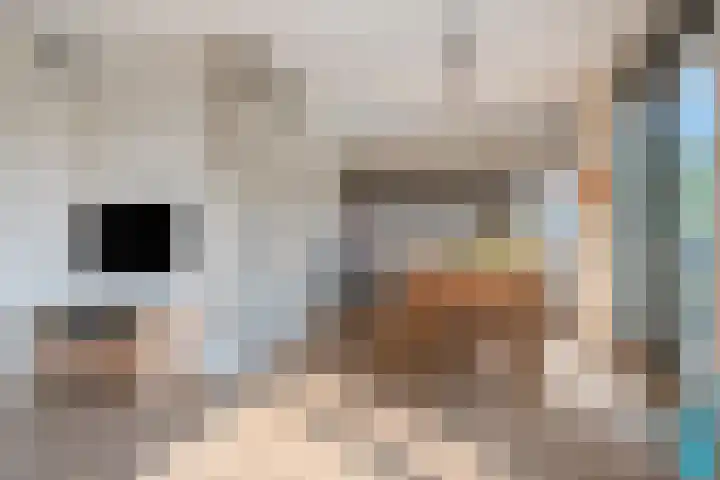 Graslinnen 45 Eindhoven thumbnail 13