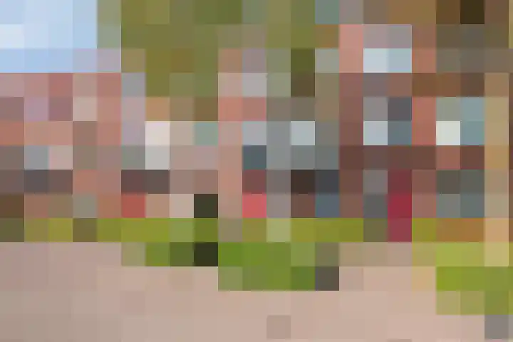 Graslinnen 45 Eindhoven thumbnail 32