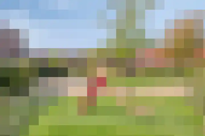 Graslinnen 45 Eindhoven thumbnail 34