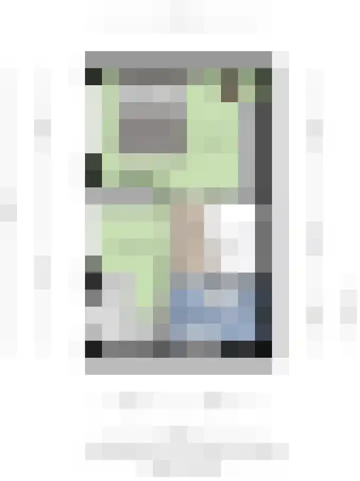 Graslinnen 45 Eindhoven thumbnail 38