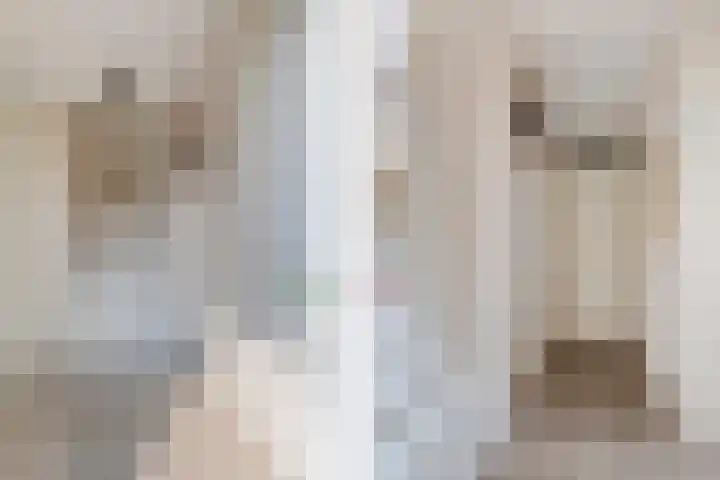 Graslinnen 45 Eindhoven thumbnail 4