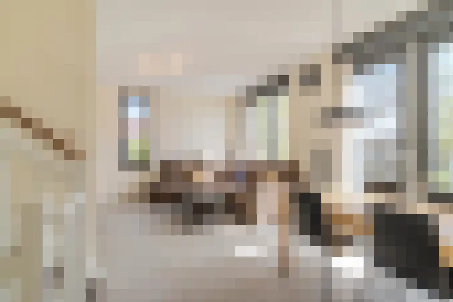 Graslinnen 7 Eindhoven thumbnail 16
