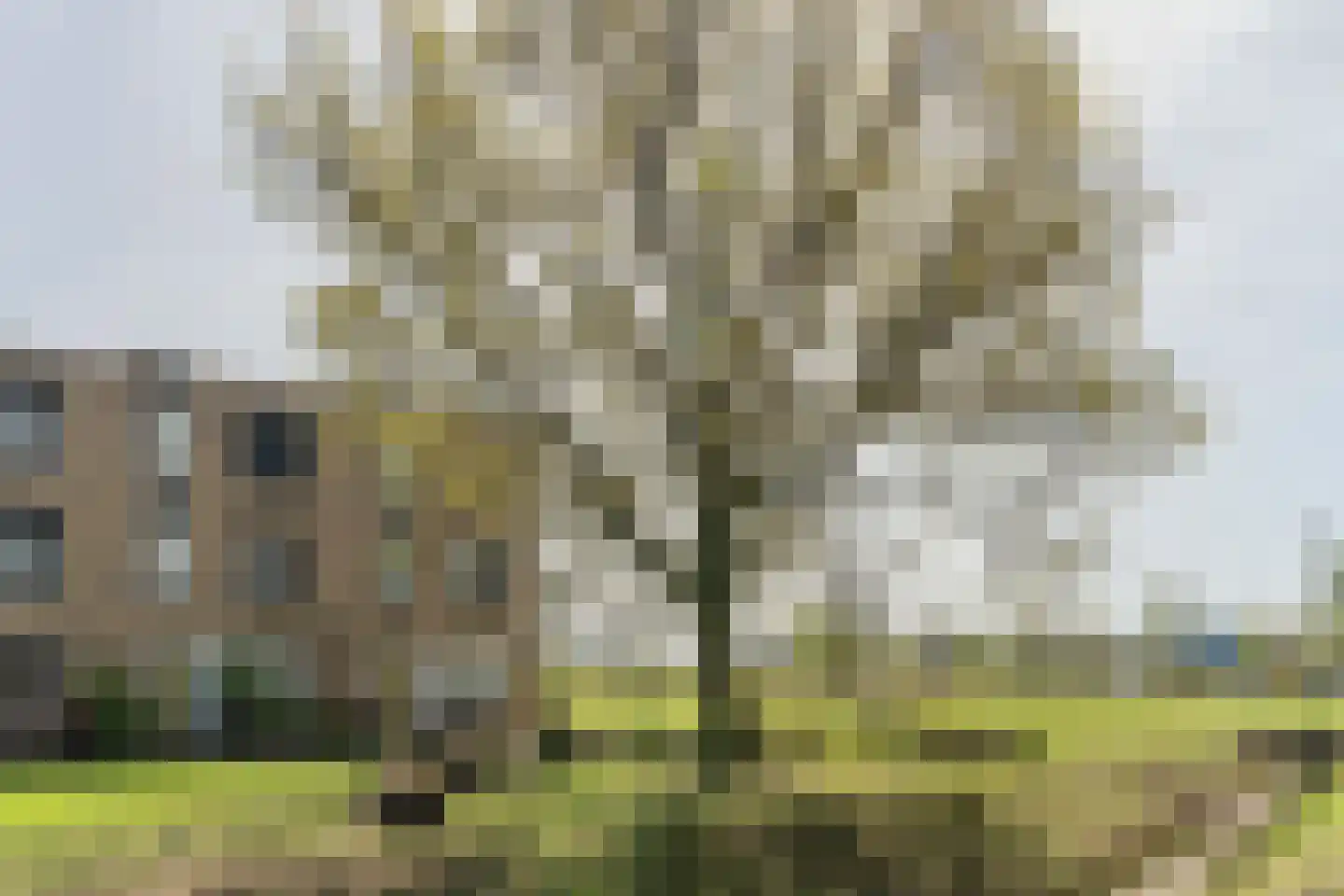 Graslinnen 7 Eindhoven thumbnail 38