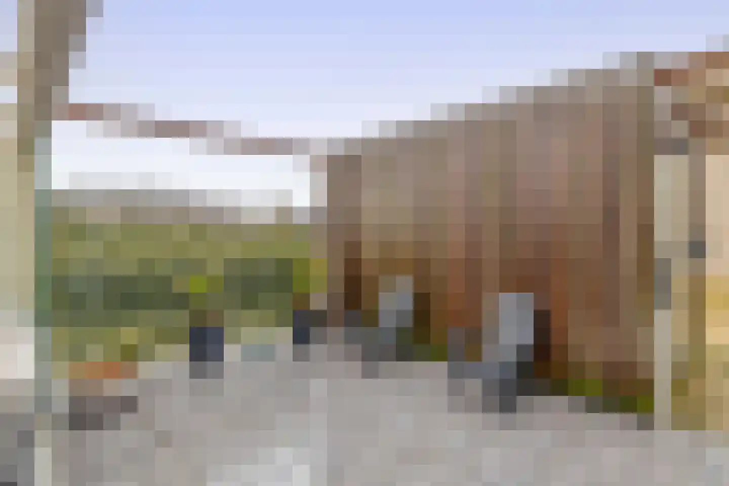 Graslook 26 Eindhoven thumbnail 12