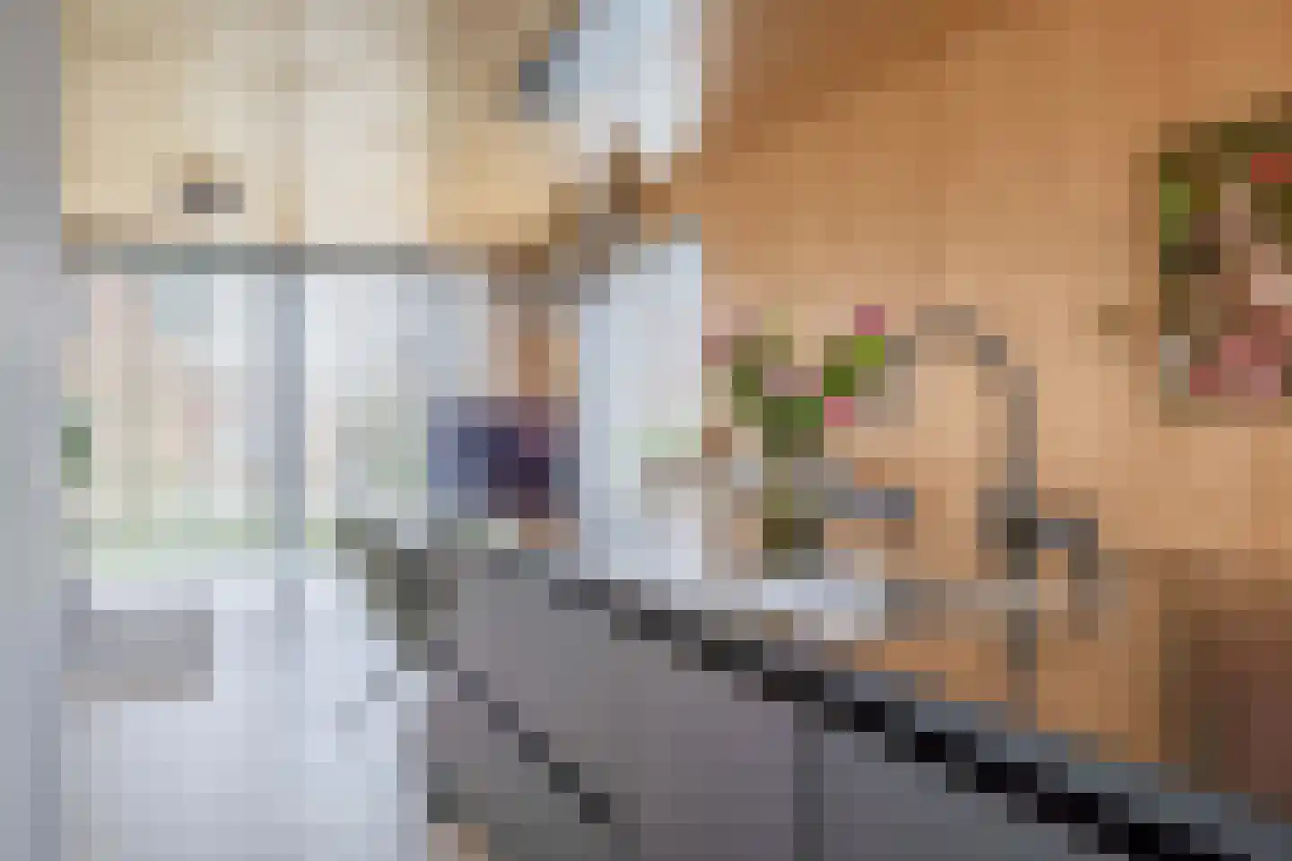 Graslook 26 Eindhoven thumbnail 20