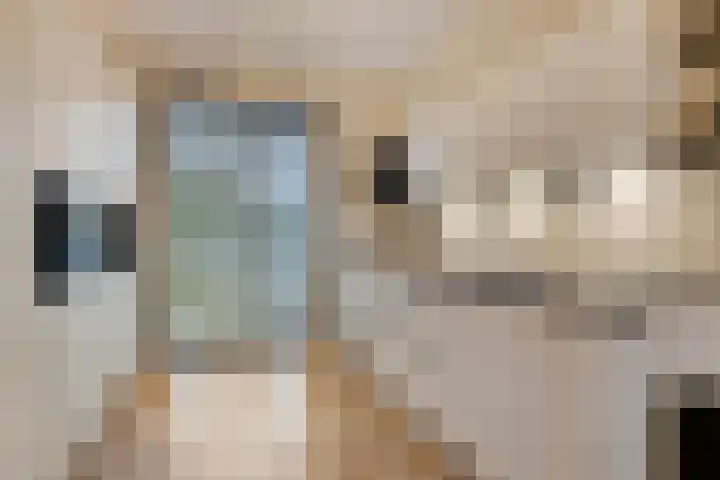 Graslook 4 Eindhoven thumbnail 15