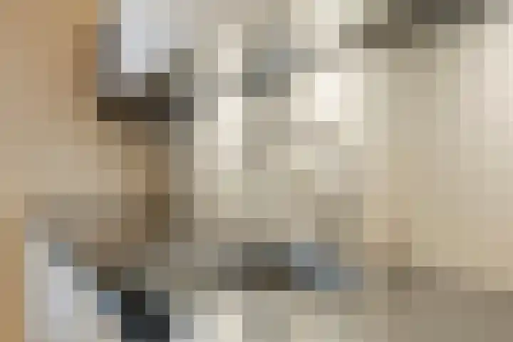 Graslook 4 Eindhoven thumbnail 16