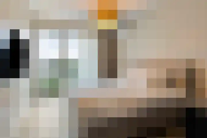 Graslook 4 Eindhoven thumbnail 20