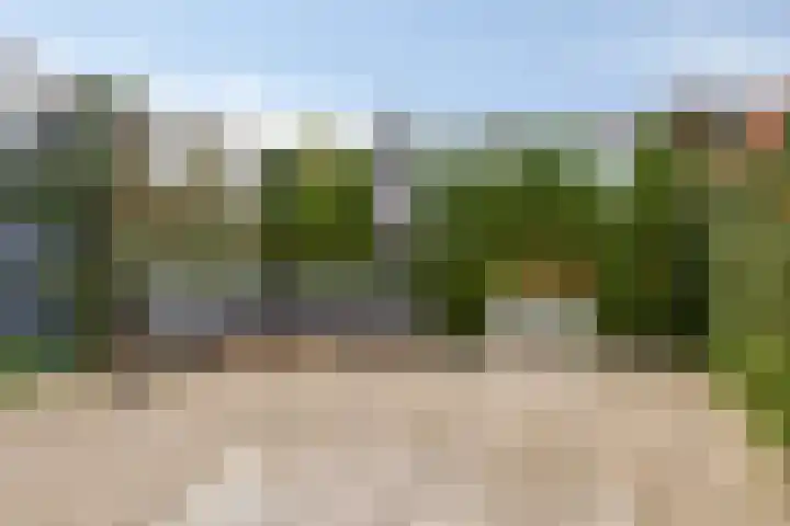 Graslook 4 Eindhoven thumbnail 29