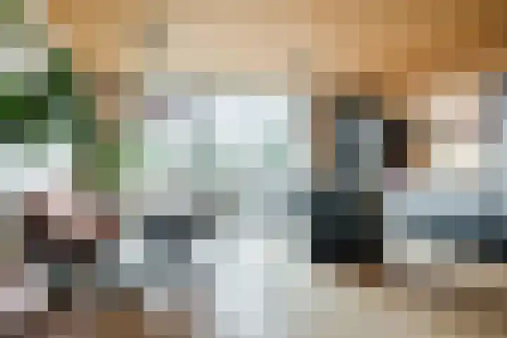 Graslook 44 Eindhoven thumbnail 15