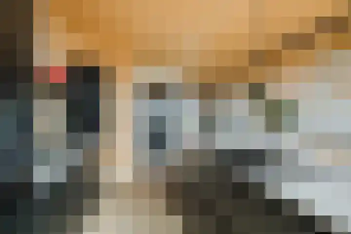 Graslook 44 Eindhoven thumbnail 18