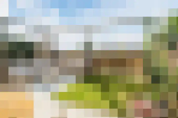 Graslook 44 Eindhoven thumbnail 32
