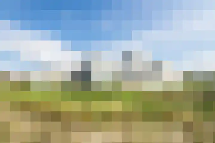 Graslook 44 Eindhoven thumbnail 35