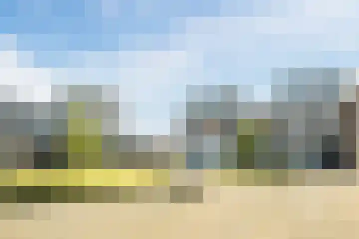 Graslook 44 Eindhoven thumbnail 7
