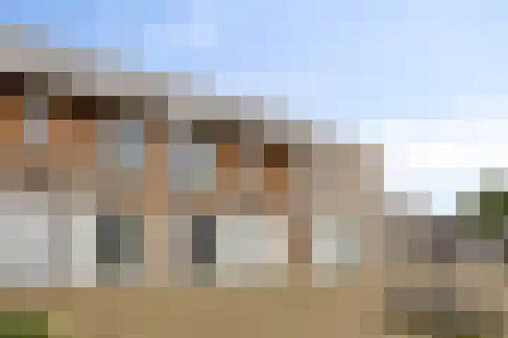 Graslook 52 Eindhoven