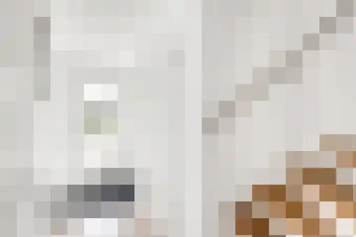 Grasmaat 3 Hoevelaken thumbnail 12