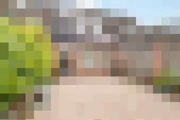 Grasmaat 3 Hoevelaken thumbnail 27