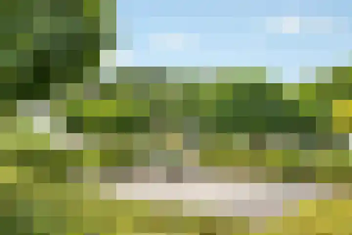 Grasmaat 3 Hoevelaken thumbnail 28