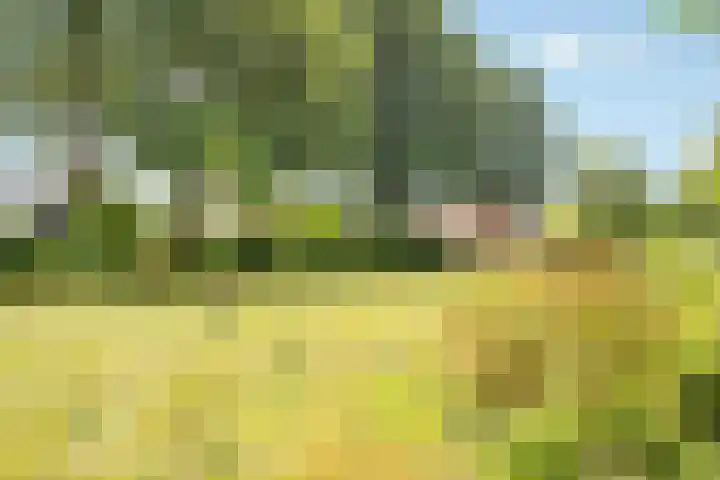 Grasmaat 3 Hoevelaken thumbnail 29