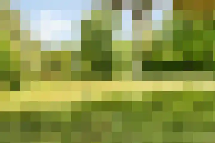 Grasmaat 3 Hoevelaken thumbnail 30