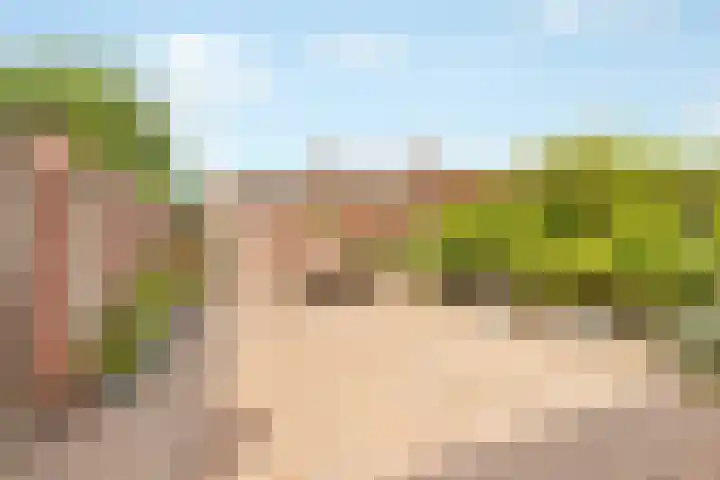 Grasmaat 3 Hoevelaken thumbnail 4