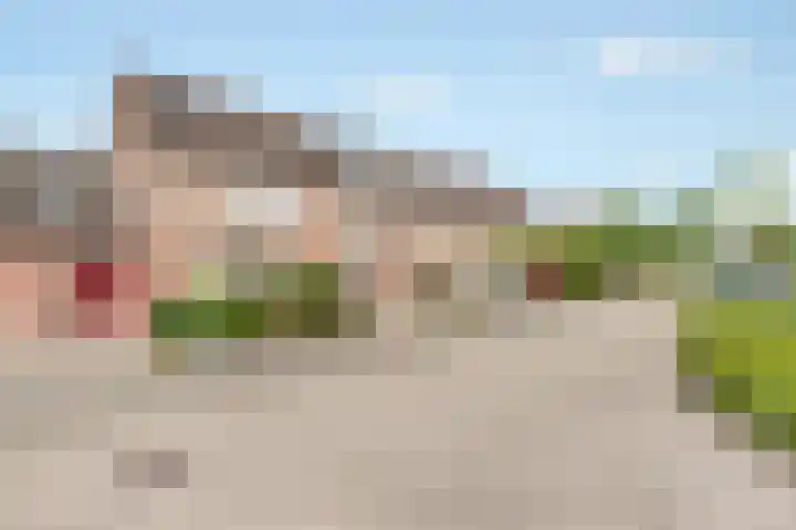 Grasmaat 3 Hoevelaken thumbnail 5