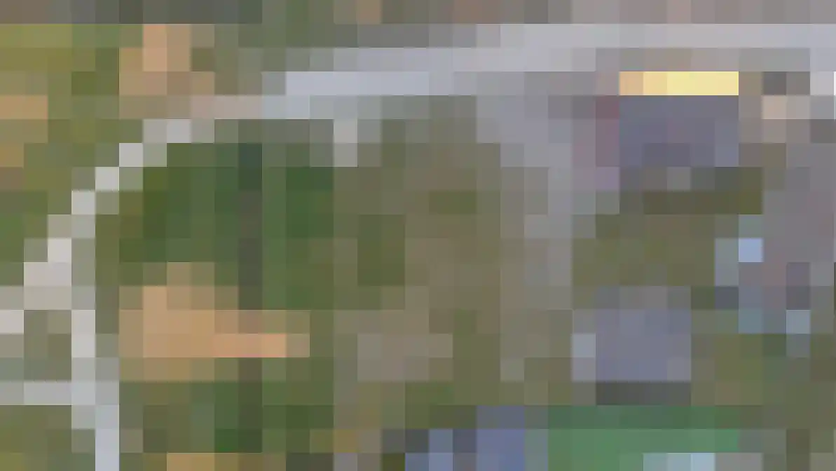 Grasmat 12 Oudenbosch thumbnail 4