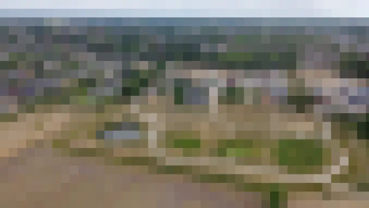 Grasmat 12 Oudenbosch thumbnail 5