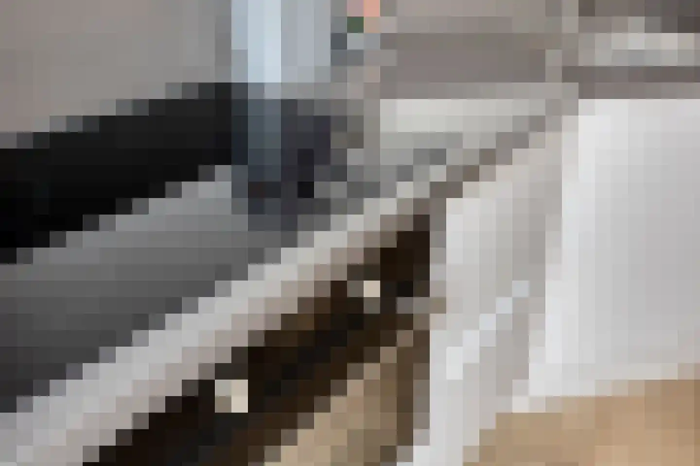 Grasmat 2 Eindhoven thumbnail 11