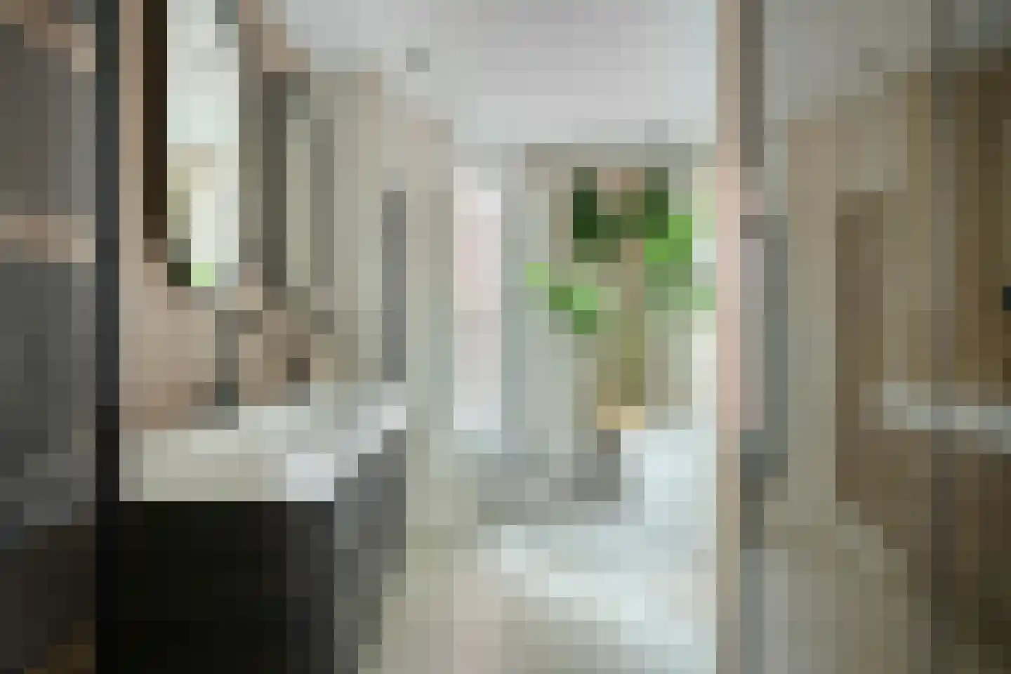 Grasmat 2 Eindhoven thumbnail 21