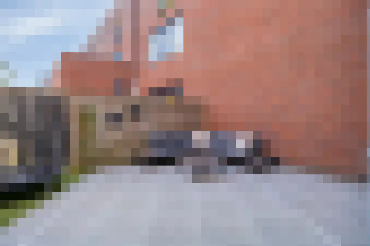 Grasmat 2 Eindhoven thumbnail 43