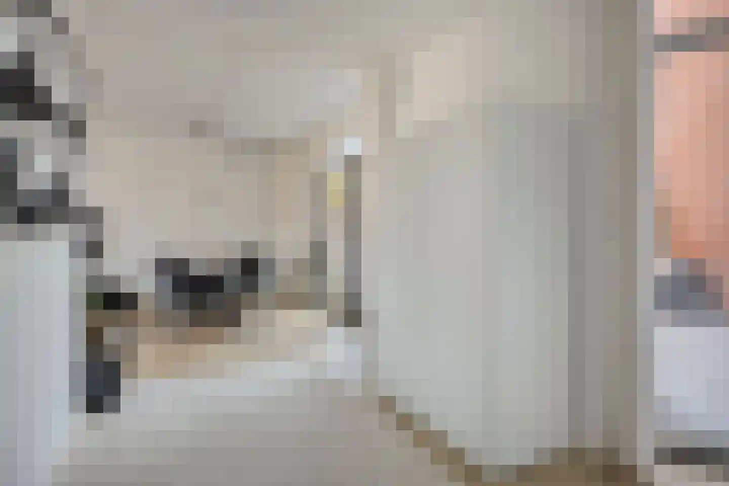 Grasmat 2 Eindhoven thumbnail 8